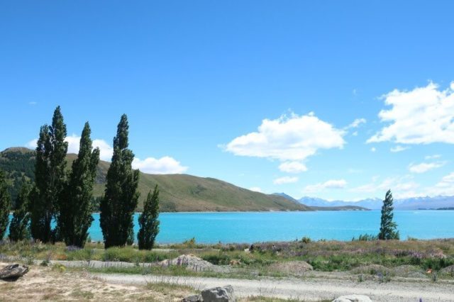ニュージーランド 夏のテカポ湖のミルキーブルーに感動 つるにっき